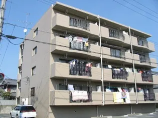 コンフォールの画像