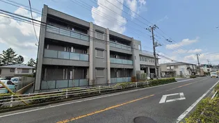 レフィアントの画像