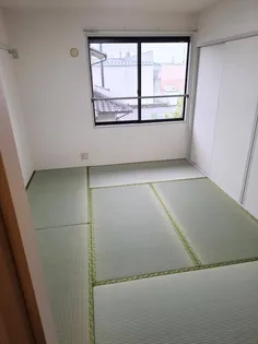 星野ハイツ【2階】の内装