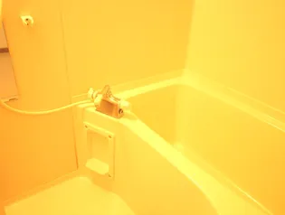 サニーハイツC棟の風呂