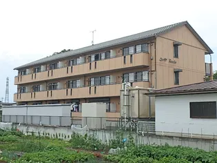 ウィルモアKOEDOの画像