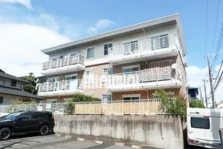 キャムグレースの画像