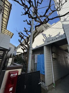 フォーラムセブンの画像