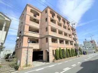 ビバ ルネサンスの画像