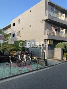 エバーグリーンの画像