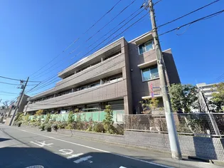 ルヴェ デュ ソレイユの画像