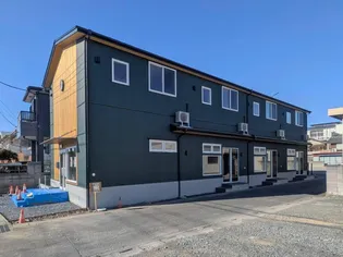 サザンMIRAIの画像