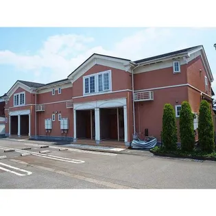 ボヌールカメリアの画像