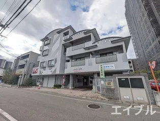クオリスIEの画像