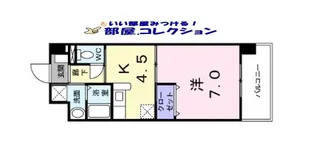 エヴァーグリーンN【6階】の間取り