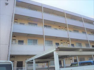 タニハイツの画像