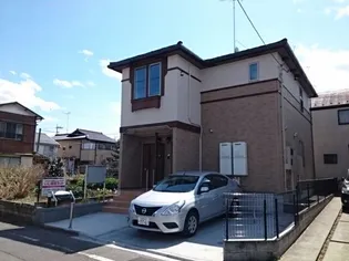 マーベラスデーアIIの画像