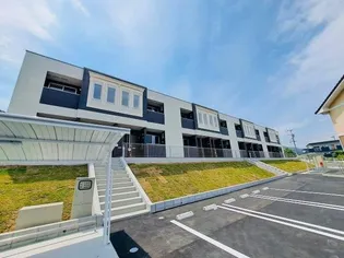 エタンセルの画像