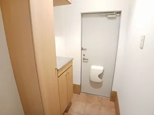 メゾンマーベラスB【1階】の玄関