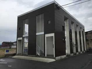 カーサスミレの画像