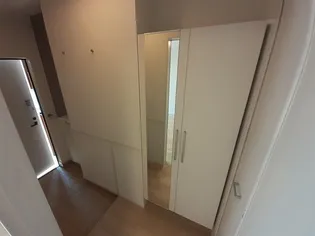 GOLD RIVER 358【1階】の玄関