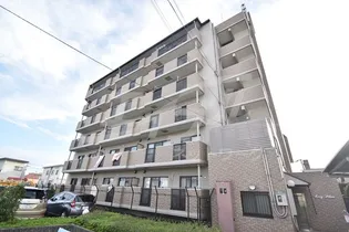 コジープレースの画像