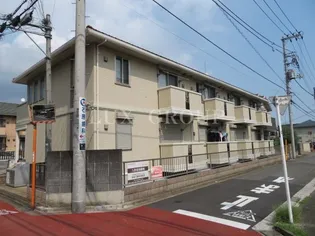 アマービリスの画像