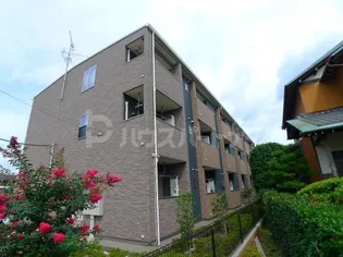 フォルテの画像