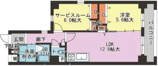 カーサラピス【6階】の間取り