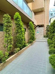 ラ・ルミエール【1階】の外観