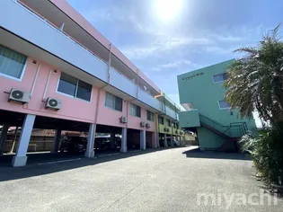 徳島県徳島市新浜町3【アパート】の外観