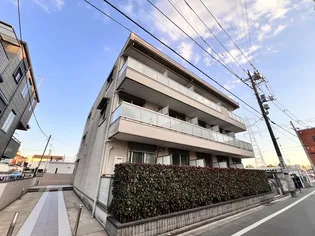 セリシールの画像