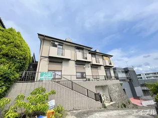 ファジール紫の画像