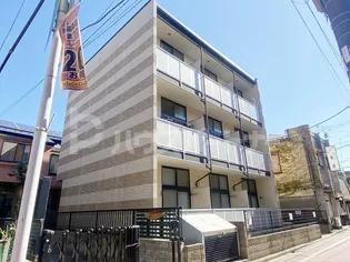 ピークシーダーの画像