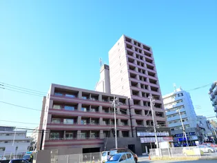 ディグニータの画像