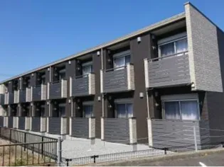 ミランダシュエットメジロの画像