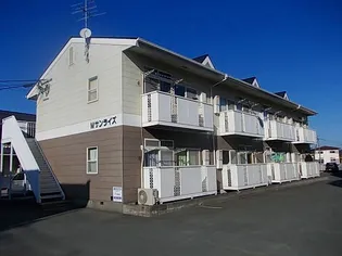 Mサンライズの画像