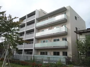 ソフィアコート扇の画像