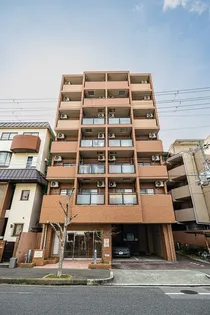 AMITIE DEMEURE MASUMIの画像