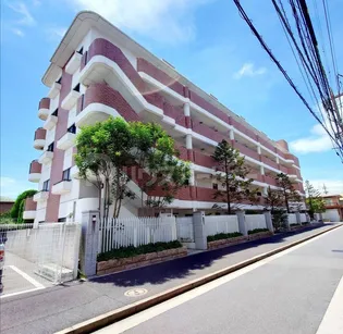 ソサエティコートクラシックの画像