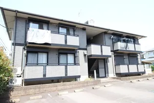 シャイニースターAの画像