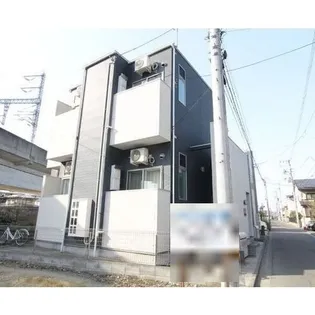 ミモザの画像