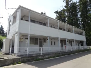 シーダ21の画像