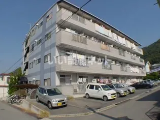 シーナリーマンション【4階】の外観