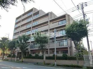 レクセルマンション淵野辺第2【6階】の外観