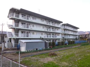 ハイムモリタの画像