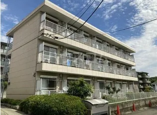 セザールマンション緑山【3階】の外観