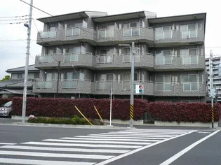 サンブライトの画像