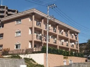 ルピナス7の画像