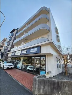 フォルクローレの画像