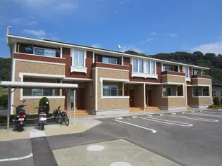 ヴィテッロの画像