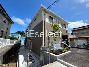 クリンティの画像