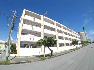 プラシードC HIIの画像