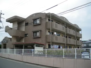 サンライズの画像