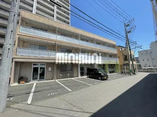 コスモ33の画像